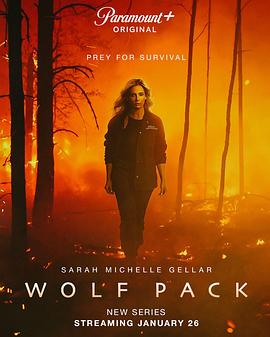 电视剧《狼群 Wolf Pack》完整版免费在线观看