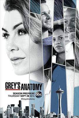 羞羞漫画《实习医生格蕾 第十四季 Grey's Anatomy Season 14》免费在线观看