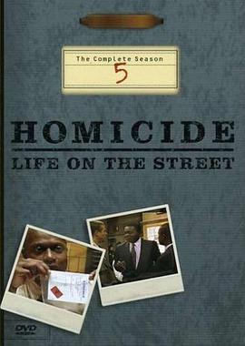 电视剧《情理法的春天 第五季 Homicide: Life on the Street Season 5》完整版免费在线观看