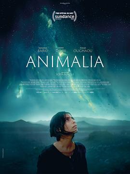 电影《动物界 Animalia》高清免费在线观看