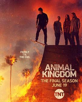 电视剧《野兽家族 第六季 Animal Kingdom Season 6》完整版免费在线观看