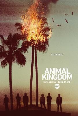 羞羞漫画《野兽家族 第一季 Animal Kingdom Season 1》免费在线观看