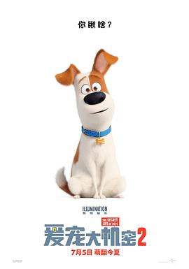 电影《爱宠大机密2 The Secret Life of Pets 2》HD免费在线观看