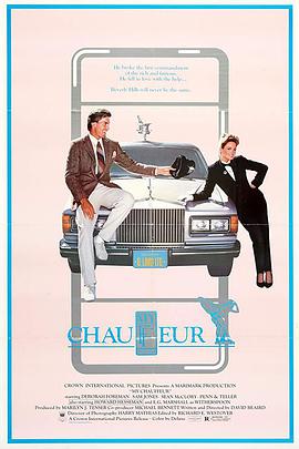 电影《我的司机 My Chauffeur》高清在线免费观看