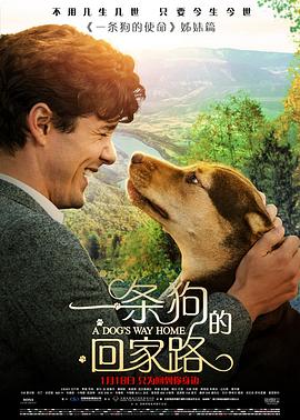 羞羞漫画《一条狗的回家路 A Dog's Way Home》免费在线观看