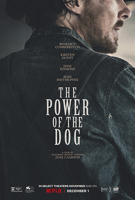 羞羞漫画《犬之力 The Power of the Dog》免费在线观看